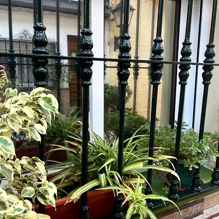 Anuli & & Family - & Malaga Апартаменты