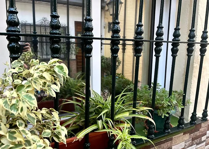 Anuli & & Family - & Malaga Appartement