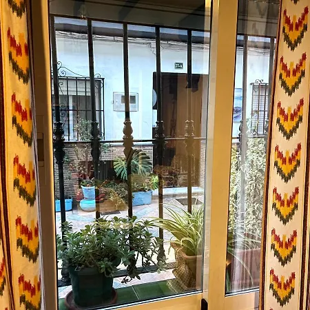 Anuli & & Family - & Malaga 公寓 *