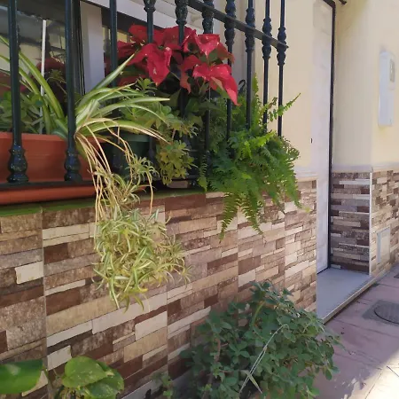 Anuli & & Family - & Malaga דירה