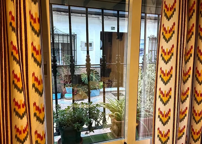 Anuli & & Family - & Malaga דירה *